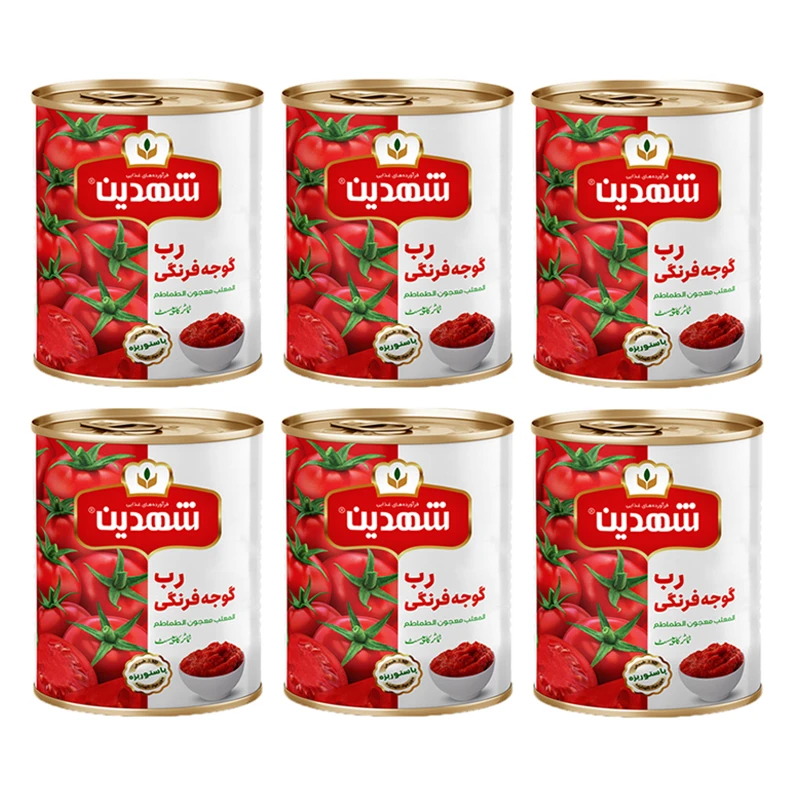 قیمت خرید رب گوجه شهدین 400 گرمی بسته 6 عددی + فروش ویژه